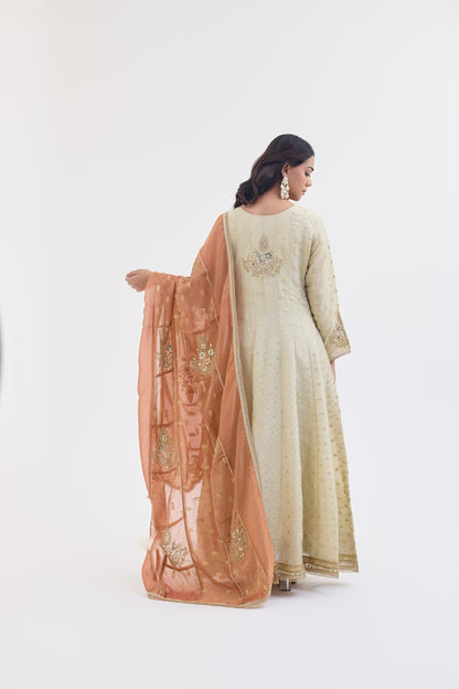 Dreamy Perfect Anarkali